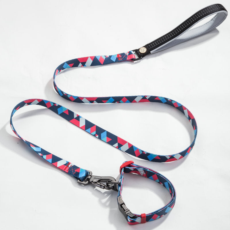 Pet leash collar