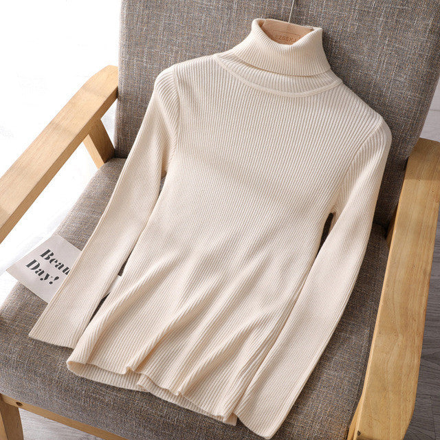 Basic Women highneck Sweaters