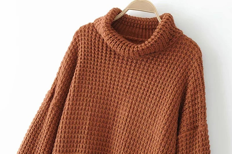 Women Sweater