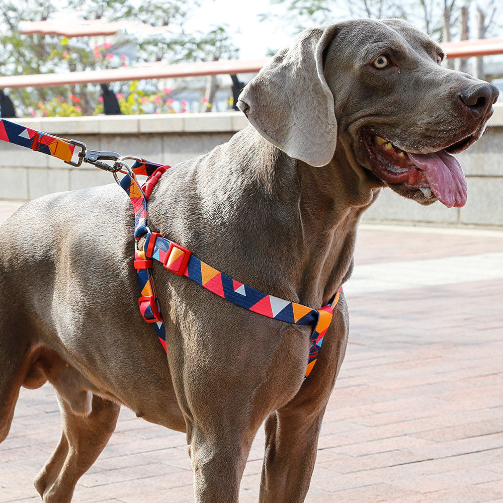 Pet leash collar